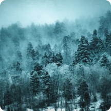 фото из инсты