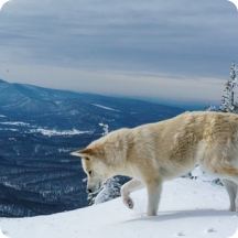 фото из инсты