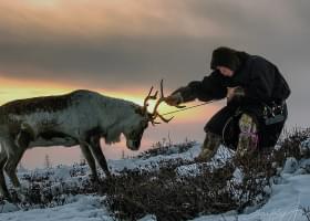 Северный пейзаж