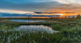 Северный пейзаж